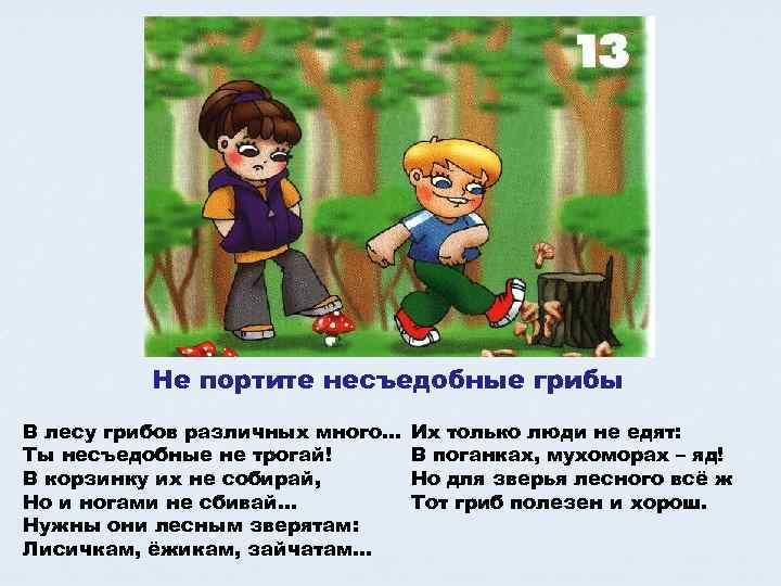    Не портите несъедобные грибы В лесу грибов различных много…  Их