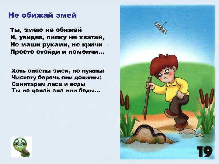 Не обижай змей Ты, змею не обижай И, увидев, палку не хватай, Не маши