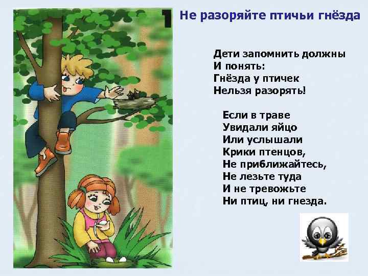 Не разоряйте птичьи гнёзда  Дети запомнить должны И понять: Гнёзда у птичек Нельзя