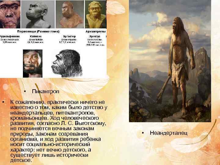    •  Пикантроп •  К сожалению, практически ничего не известно