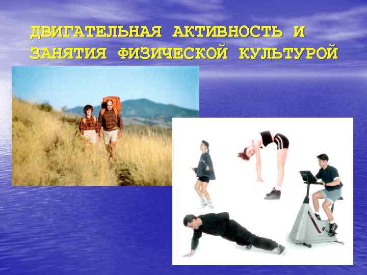 ДВИГАТЕЛЬНАЯ АКТИВНОСТЬ И ЗАНЯТИЯ ФИЗИЧЕСКОЙ КУЛЬТУРОЙ 