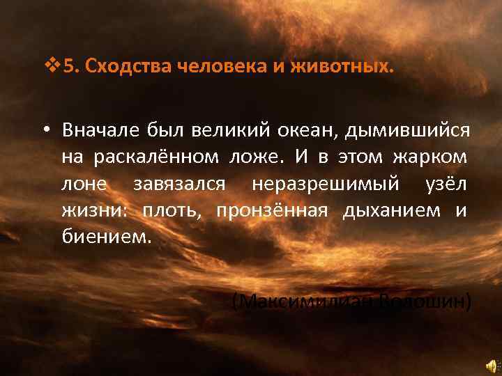 v 5. Сходства человека и животных.  • Вначале был великий океан, дымившийся 