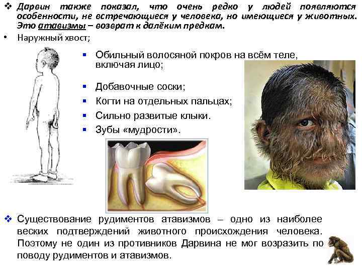 v Дарвин также показал, что очень редко у людей появляются  особенности, не встречающиеся