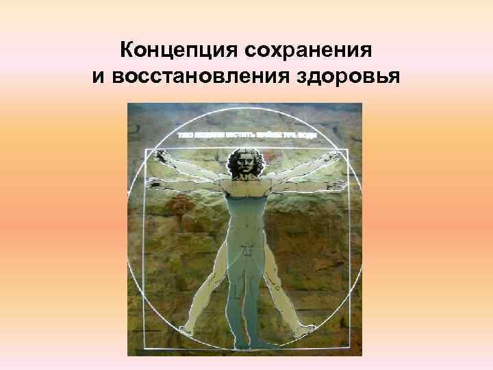   Концепция сохранения и восстановления здоровья 
