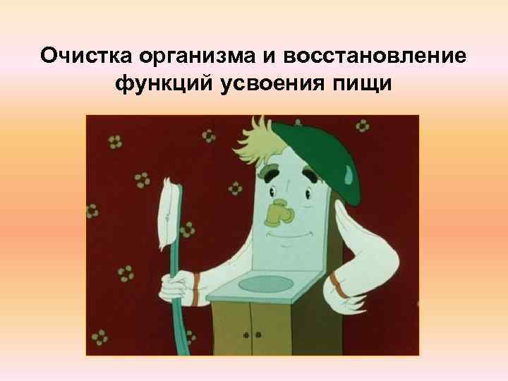 Очистка организма и восстановление  функций усвоения пищи 