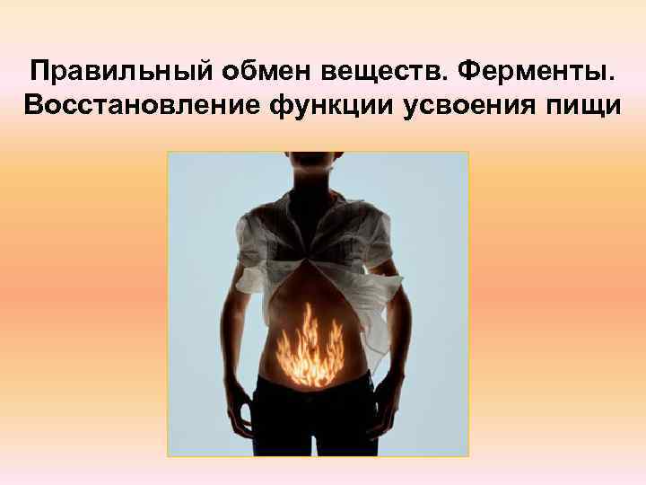 Правильный обмен веществ. Ферменты. Восстановление функции усвоения пищи 