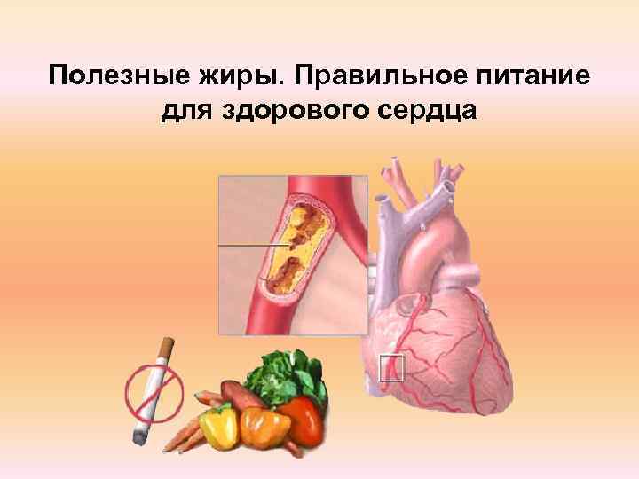 Полезные жиры. Правильное питание  для здорового сердца 
