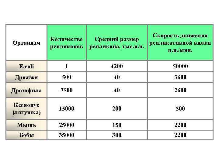      Скорость движения   Количество Средний размер Организм 