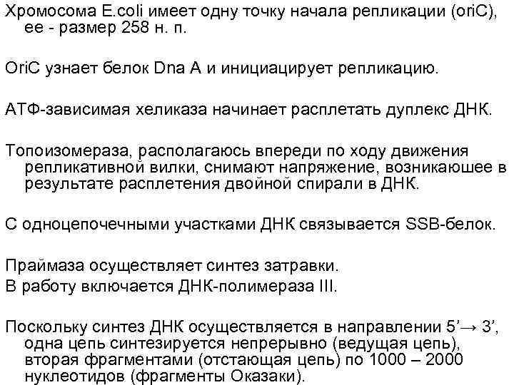 Хромосома Е. coli имеет одну точку начала репликации (ori. C),  ее - размер