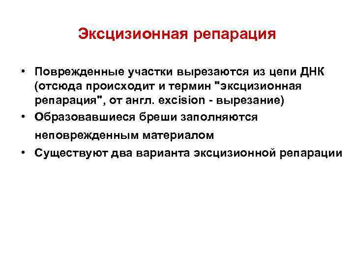  Эксцизионная репарация  • Поврежденные участки вырезаются из цепи ДНК  (отсюда