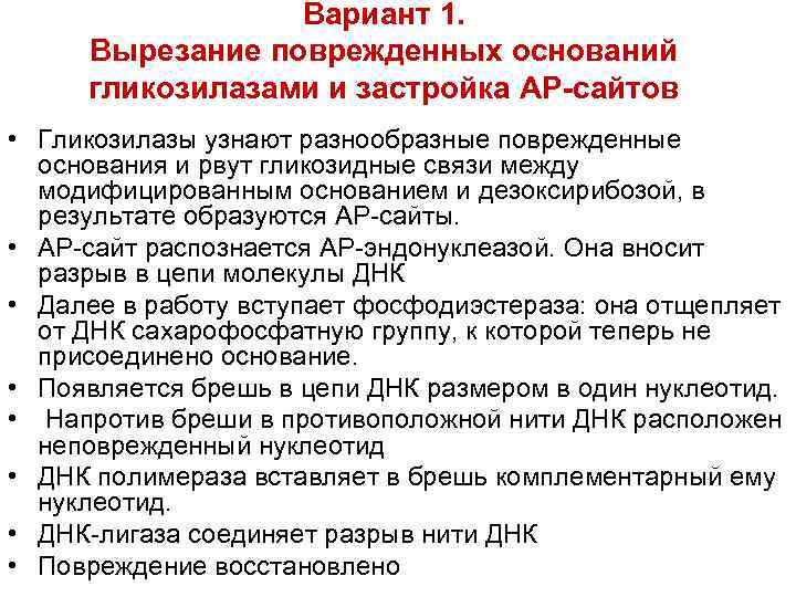    Вариант 1.  Вырезание поврежденных оснований гликозилазами и застройка АР-сайтов •