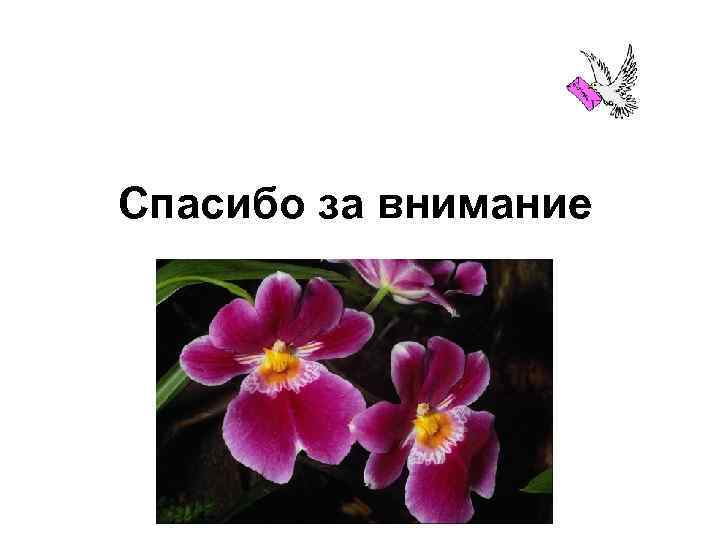 Спасибо за внимание 