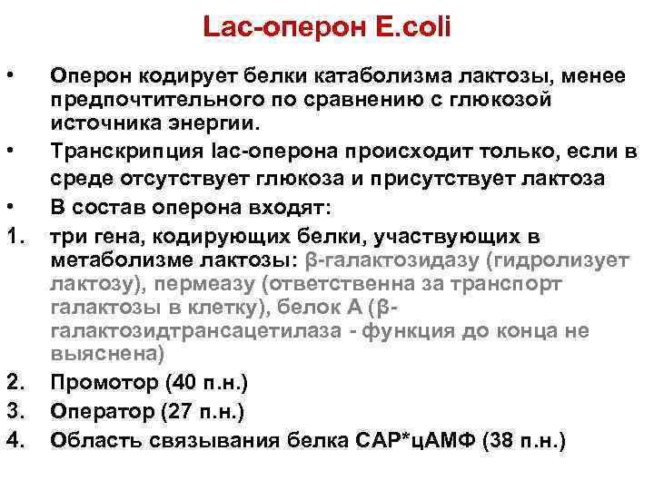    Lac-оперон E. coli • Оперон кодирует белки катаболизма лактозы, менее предпочтительного