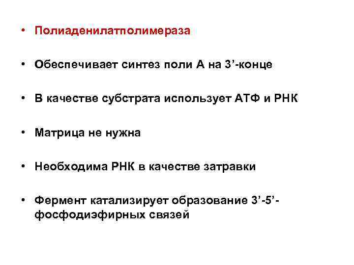  • Полиаденилатполимераза  • Обеспечивает синтез поли А на 3’-конце  • В