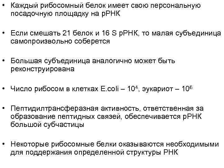  • Каждый рибосомный белок имеет свою персональную  посадочную площадку на р. РНК