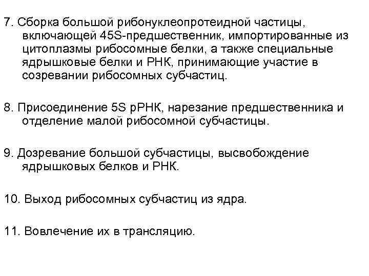 7. Сборка большой рибонуклеопротеидной частицы, включающей 45 S-предшественник, импортированные из цитоплазмы рибосомные белки, а