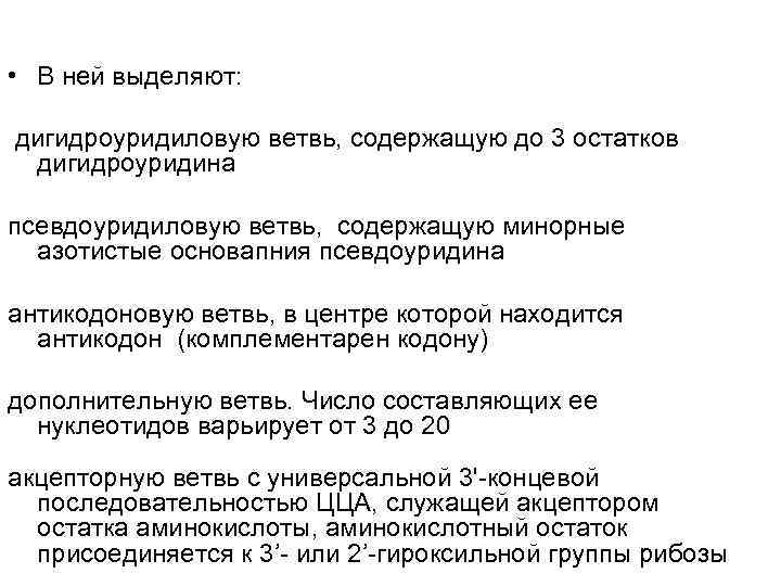  • В ней выделяют:  дигидроуридиловую ветвь, содержащую до 3 остатков дигидроуридина псевдоуридиловую