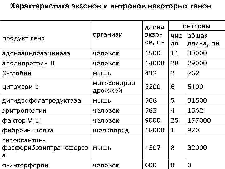  Характеристика экзонов и интронов некоторых генов.       длина