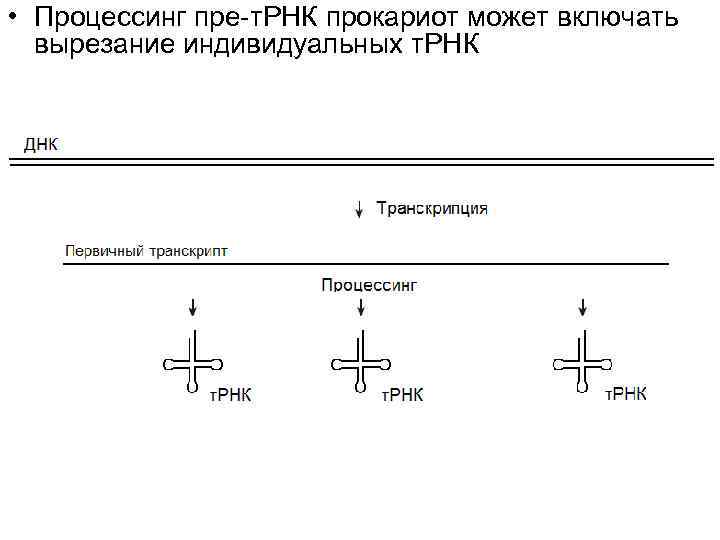 Рнк в 1с как расшифровывается