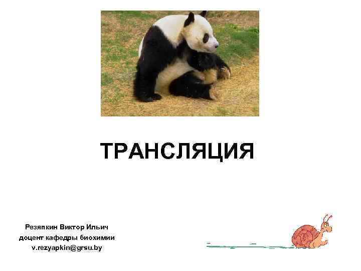    ТРАНСЛЯЦИЯ  Резяпкин Виктор Ильич доцент кафедры биохимии  v.