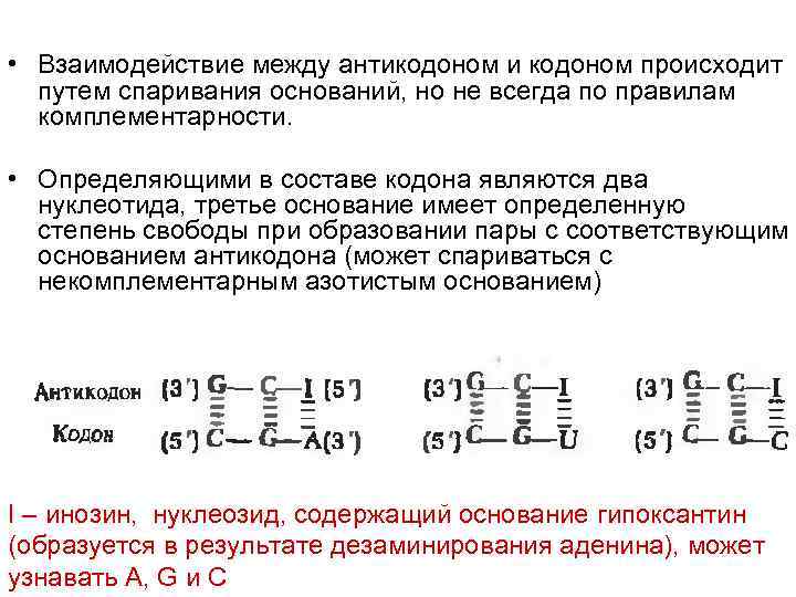 Взаимодействие между кодоном и антикодоном