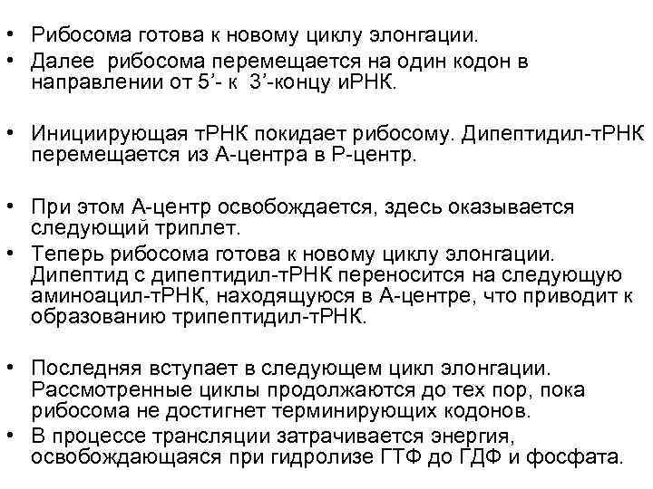  • Рибосома готова к новому циклу элонгации.  • Далее рибосома перемещается на