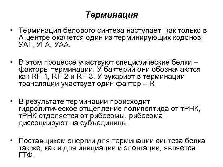     Терминация • Терминация белового синтеза наступает, как только в 