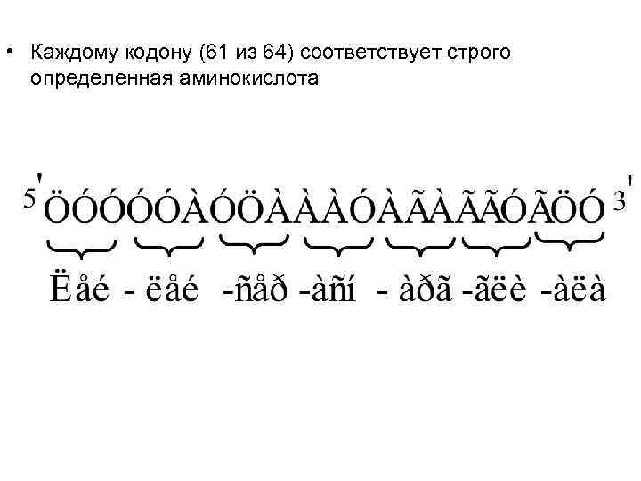  • Каждому кодону (61 из 64) соответствует строго  определенная аминокислота 