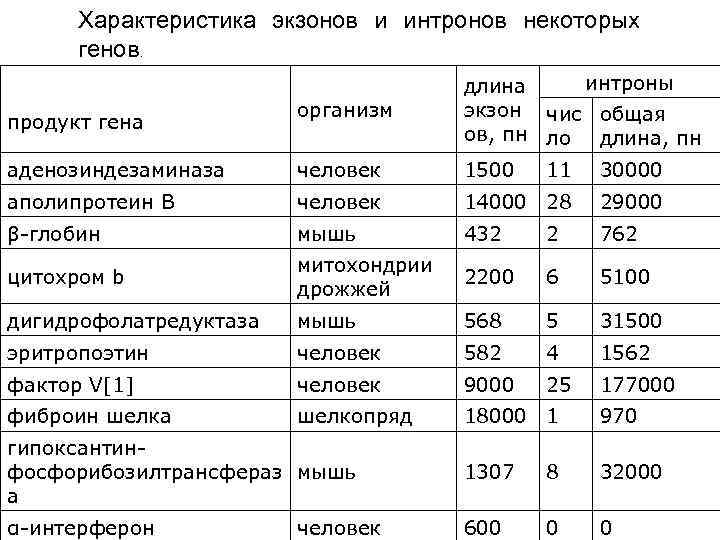 Характеристика экзонов и интронов некоторых генов. длина интроны Характеристика экзонов и интронов некоторых генов. длина интроны