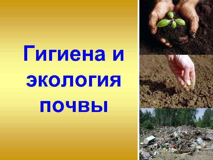 Гигиена и экология почвы 