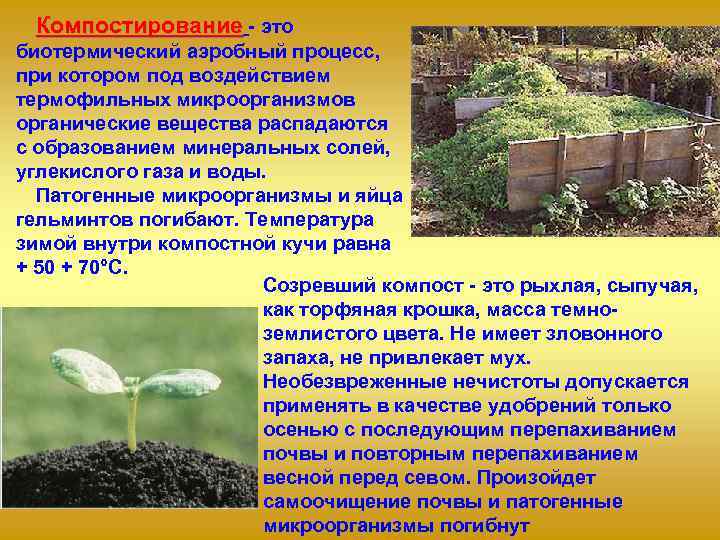  Компостирование  это биотермический аэробный процесс, при котором под воздействием термофильных микроорганизмов органические
