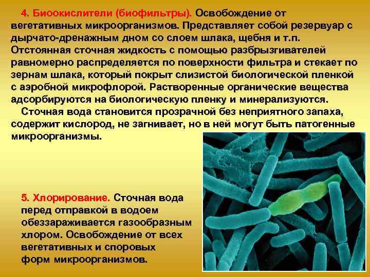  4. Биоокислители (биофильтры). Освобождение от вегетативных микроорганизмов. Представляет собой резервуар с дырчато дренажным