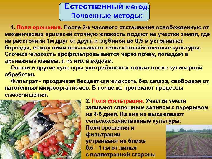     Естественный метод.    Почвенные методы:  1. Поля