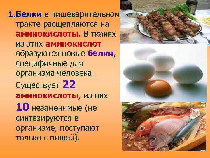 1. Белки в пищеварительном  тракте расщепляются на  аминокислоты. В тканях  из
