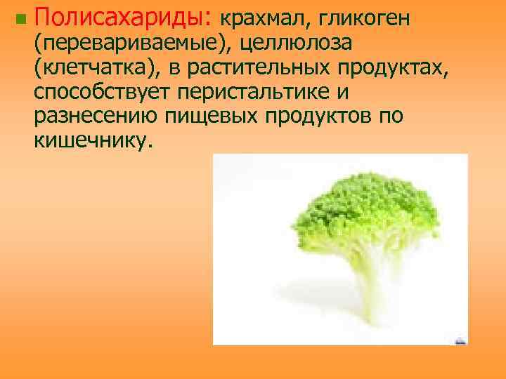 Клетчатка крахмал. Целлюлоза роль в растении. Экологические и гигиенические проблемы питания.