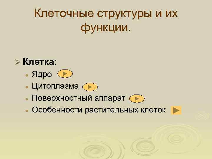  Клеточные структуры и их    функции.  Ø Клетка:  l
