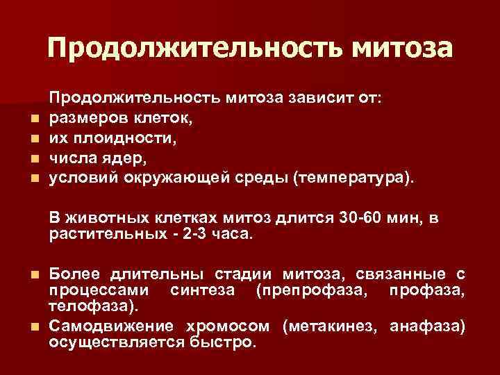 Продолжительность митоза n n Продолжительность митоза зависит от: размеров клеток, их плоидности, числа ядер,