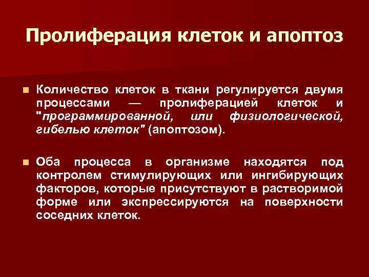 Пролиферация клеток и апоптоз n Количество клеток в ткани регулируется двумя процессами — пролиферацией
