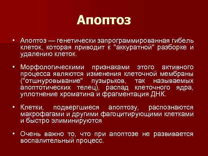 Апоптоз • Апоптоз — генетически запрограммированная гибель клеток, которая приводит к "аккуратной" разборке и
