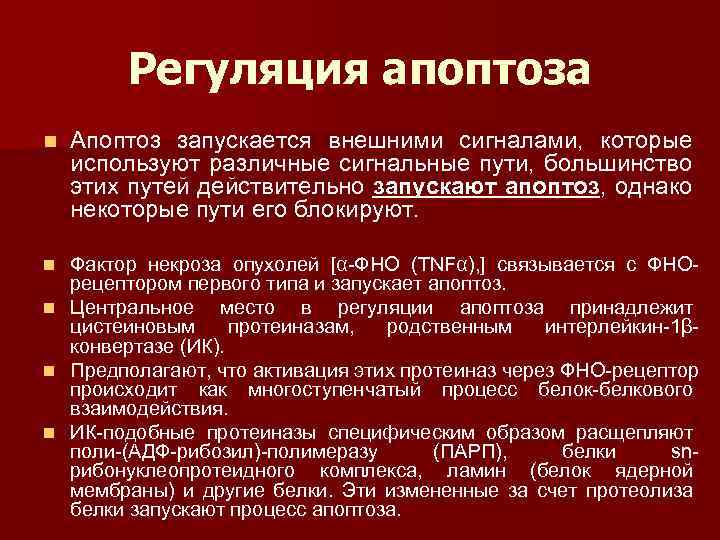 Регуляция апоптоза n Апоптоз запускается внешними сигналами, которые используют различные сигнальные пути, большинство этих