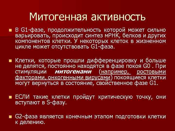 Митогенная активность n В G 1 -фазе, продолжительность которой может сильно варьировать, происходит синтез