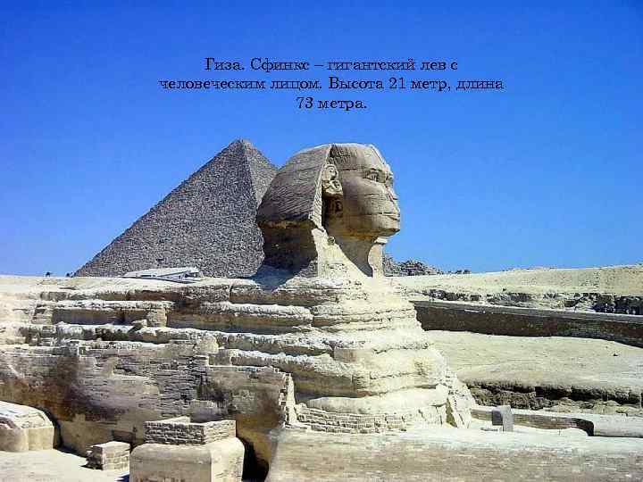 Гиза. Сфинкс – гигантский лев с человеческим лицом. Высота 21 метр, длина Гиза. Сфинкс – гигантский лев с человеческим лицом. Высота 21 метр, длина