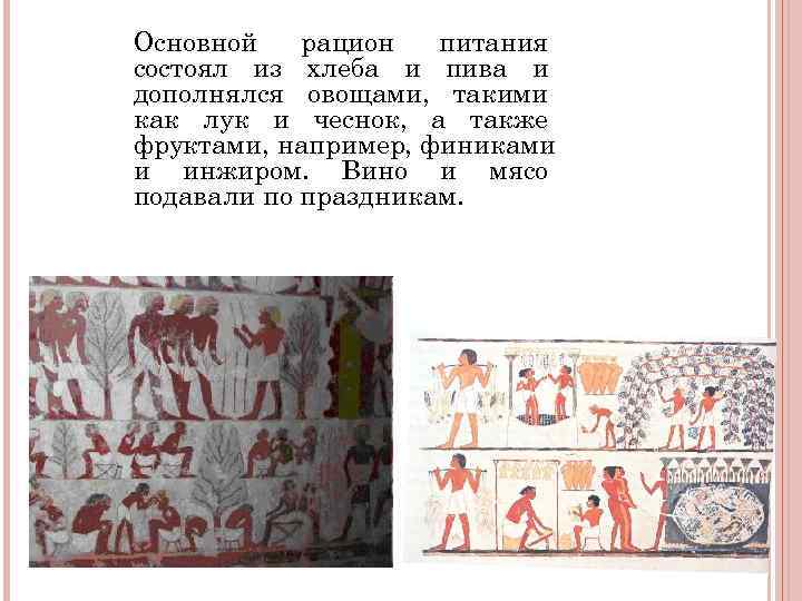 Основной рацион питания состоял из хлеба и пива и дополнялся овощами, такими Основной рацион питания состоял из хлеба и пива и дополнялся овощами, такими