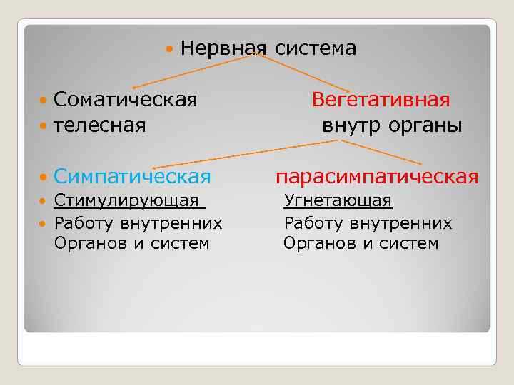    Нервная система  Соматическая   Вегетативная  телесная  