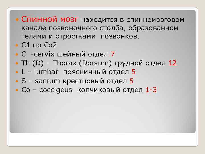   Спинной мозг находится в спинномозговом канале позвоночного столба, образованном телами и отростками