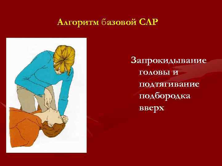 Алгоритм базовой СЛР Запрокидывание головы и подтягивание подбородка вверх 