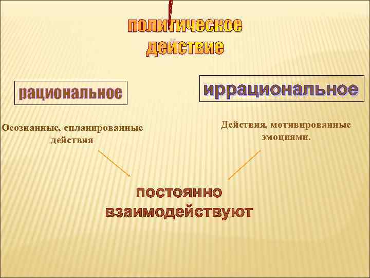     политическое     действие рациональное   