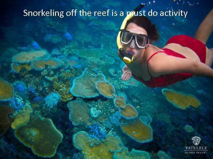 Snorkeling off the reef is a must do activity 