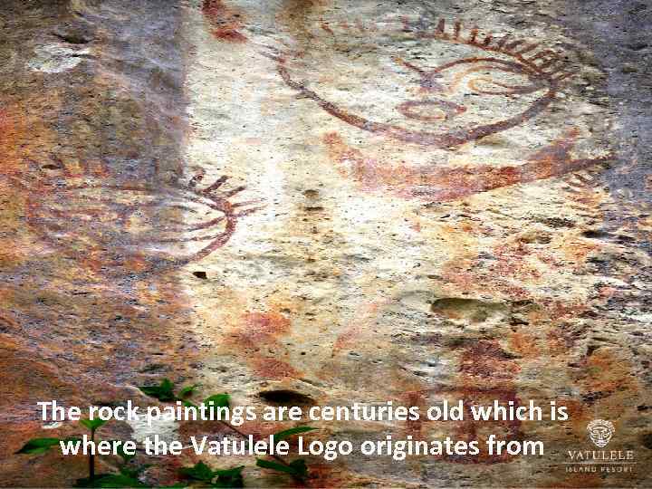 The rock paintings are centuries old which is where the Vatulele Logo originates from