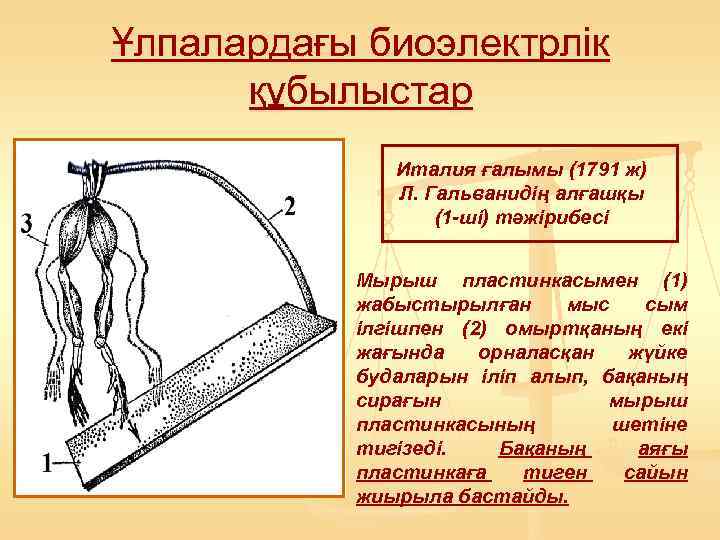 Ұлпалардағы биоэлектрлік  құбылыстар    Италия ғалымы (1791 ж)   